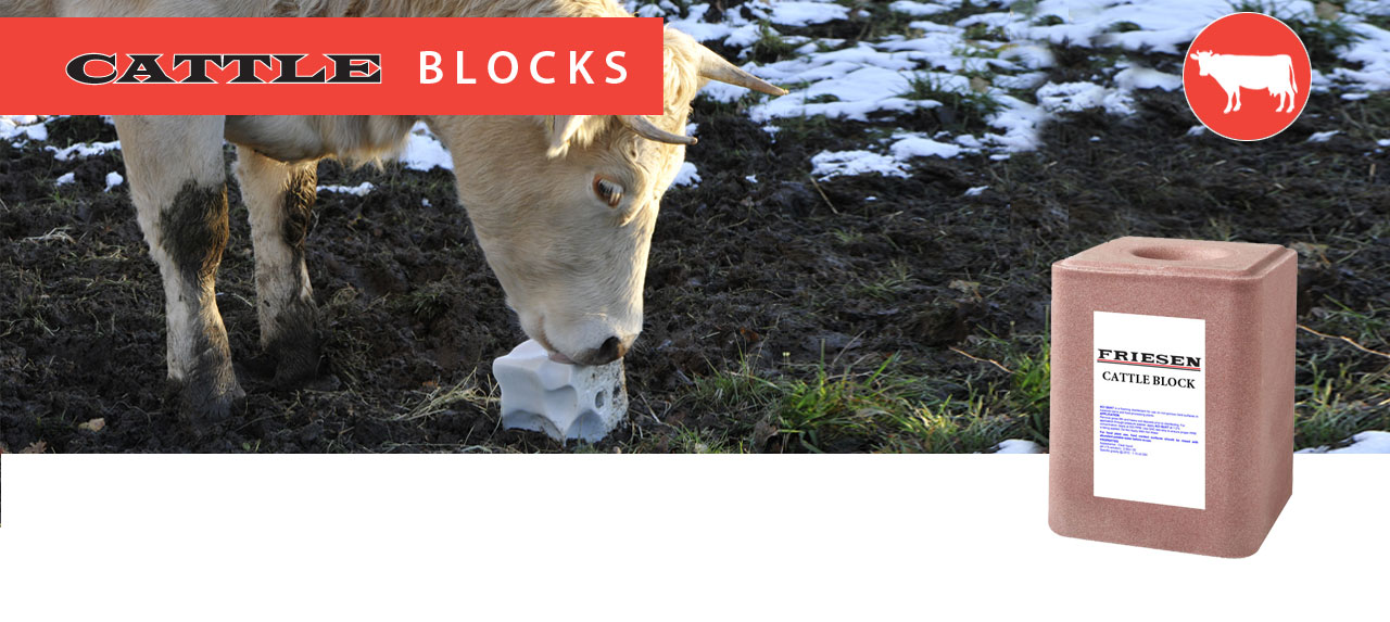 cattle block